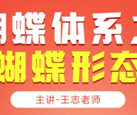 无为大师兄王志老师课程蝴蝶实战体系