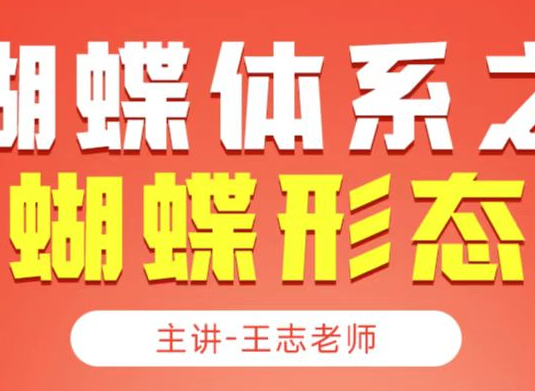 无为大师兄王志老师课程蝴蝶实战体系