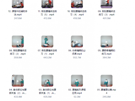 王媚_12节精讲安全缓解腰痛系统练习(私教通用版)