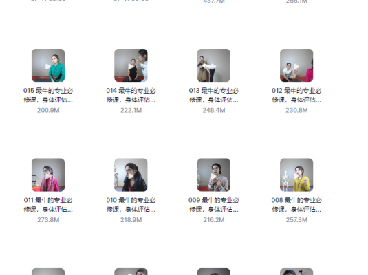 王媚_身体评估和全套解决方案+带课件