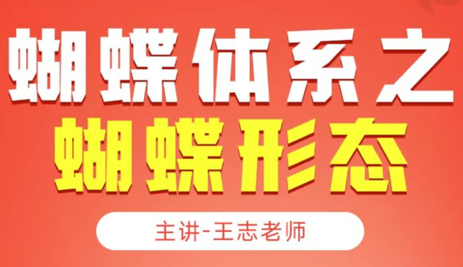 无为大师兄王志老师课程蝴蝶实战体系