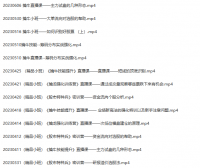 2023年冯国磊擒龙擒牛特种兵 精品小班课程