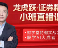 2024年张穗鸿高阶小班课