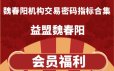 益盟魏春阳机构交易密码指标公式合集