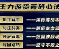 袁博-主力游资-筹码心法【4集视频】牛散特训营专栏