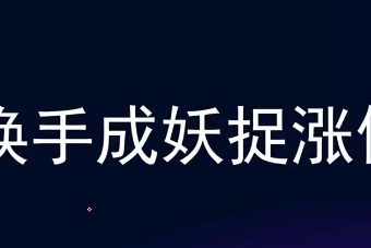 袁博-换手成妖捉涨停【4集视频】牛散特训营专栏
