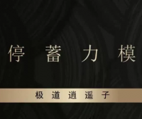 作手逍遥风系列课之爆点潜伏辅助课程