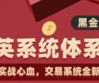 作手逍遥风极道黑金系列交易系统全新构建