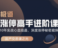 作手逍遥风极道蓝冰系列涨停高手进阶课