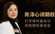 肖淳心期权基础知识系列(初级)课程