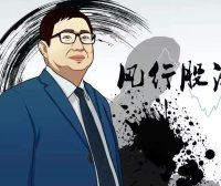 短线前八量高级课程风行资金流向战法【风行股海】