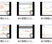 量学大讲堂-老耐-量学贯通战法直播 教你看懂主力视频课 8视频