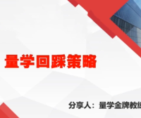 量学云讲堂腾龙骑士张宇量学第19期正课系统课