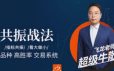 飞龙交易进阶课：共振战法