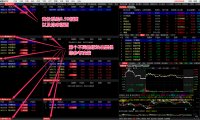 竞价擒龙系统V8.59旗舰版 情绪监控，追涨、打板、低吸、半路的竞价抓妖神器