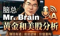 脑总Mr.Brain黄金美股投资分析课程