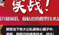 揭开最前沿、最私密的股票技术战法课程-周志伟实战