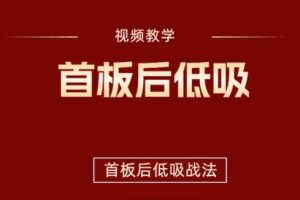 【首板后低吸战法】视频视频+指标