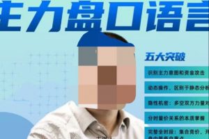 周志伟主力盘口语言（全实盘、全动态、全主力密码）