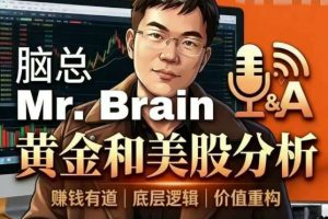 脑总Mr.Brain黄金美股投资分析课程